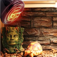 Infrarrod 50W Warmte lamp E27